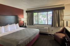 Traverse Blossom King Junior Suite king bed, chair, wardrobe, TV